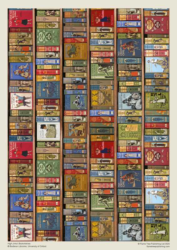 Adult Sustainable Jigsaw Puzzle Bodleian Library: High Jinks Bookshelves by