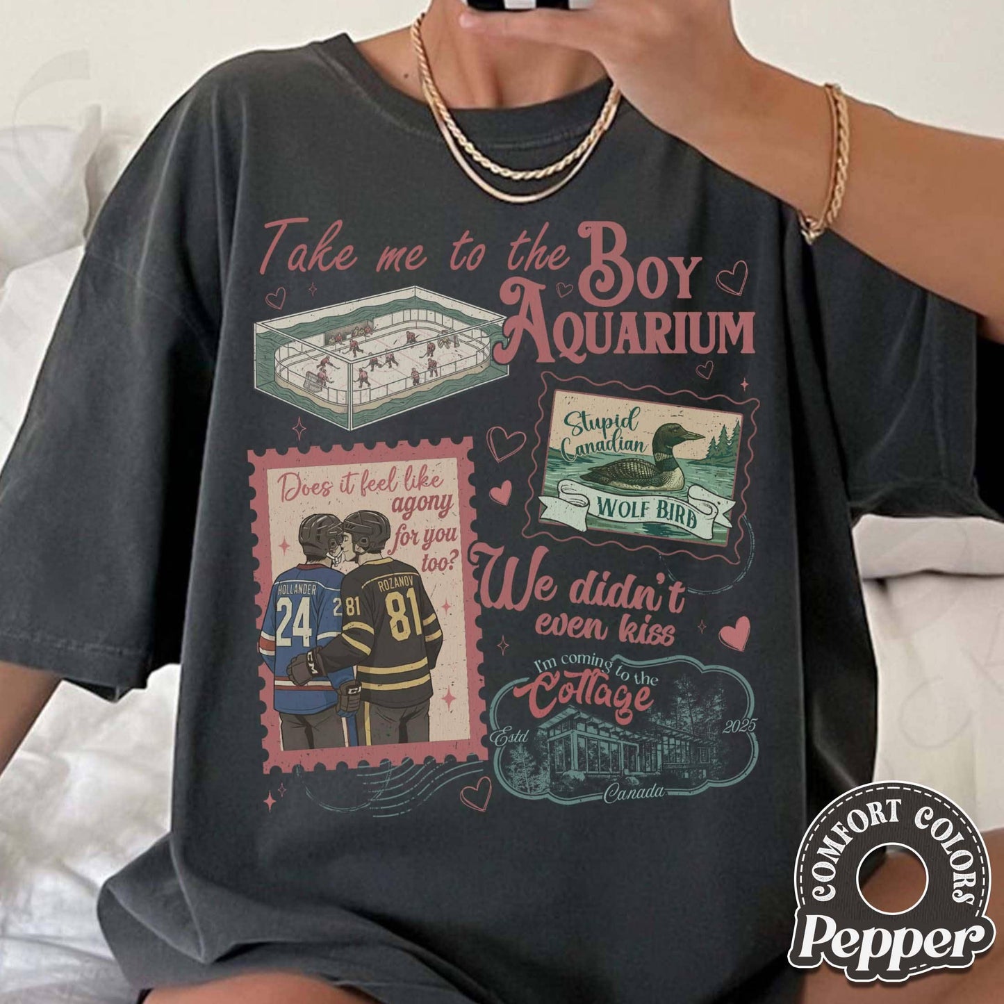 Take Me To The Boy Aquarium Comfort Colors T-Shirt, Fan Gift