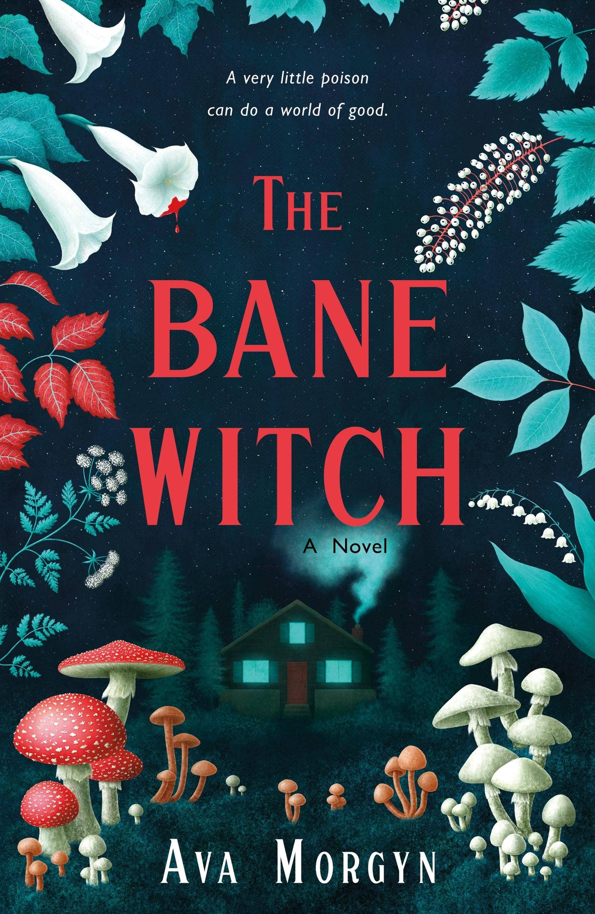 Bane Witch: A Novel