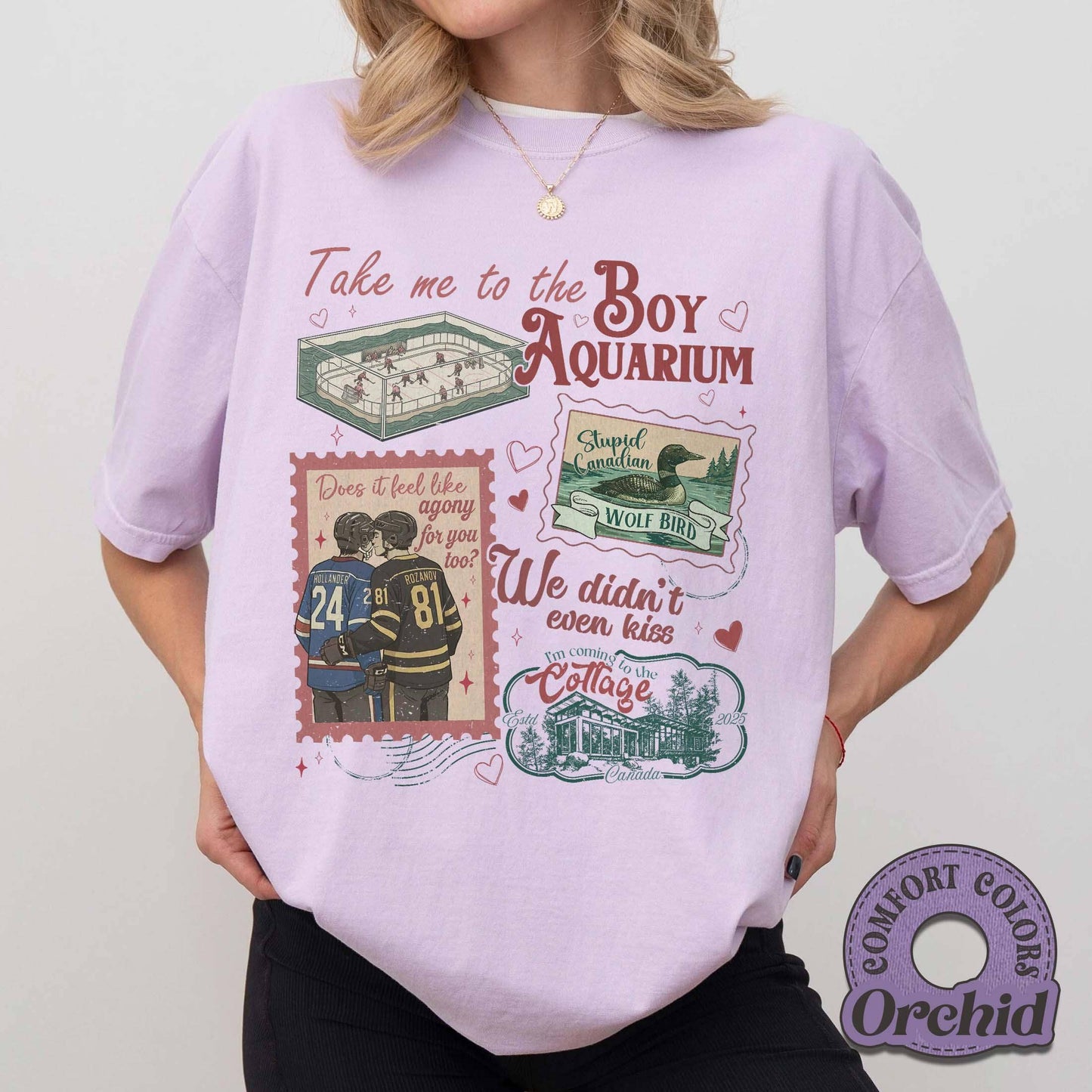 Take Me To The Boy Aquarium Comfort Colors T-Shirt, Fan Gift