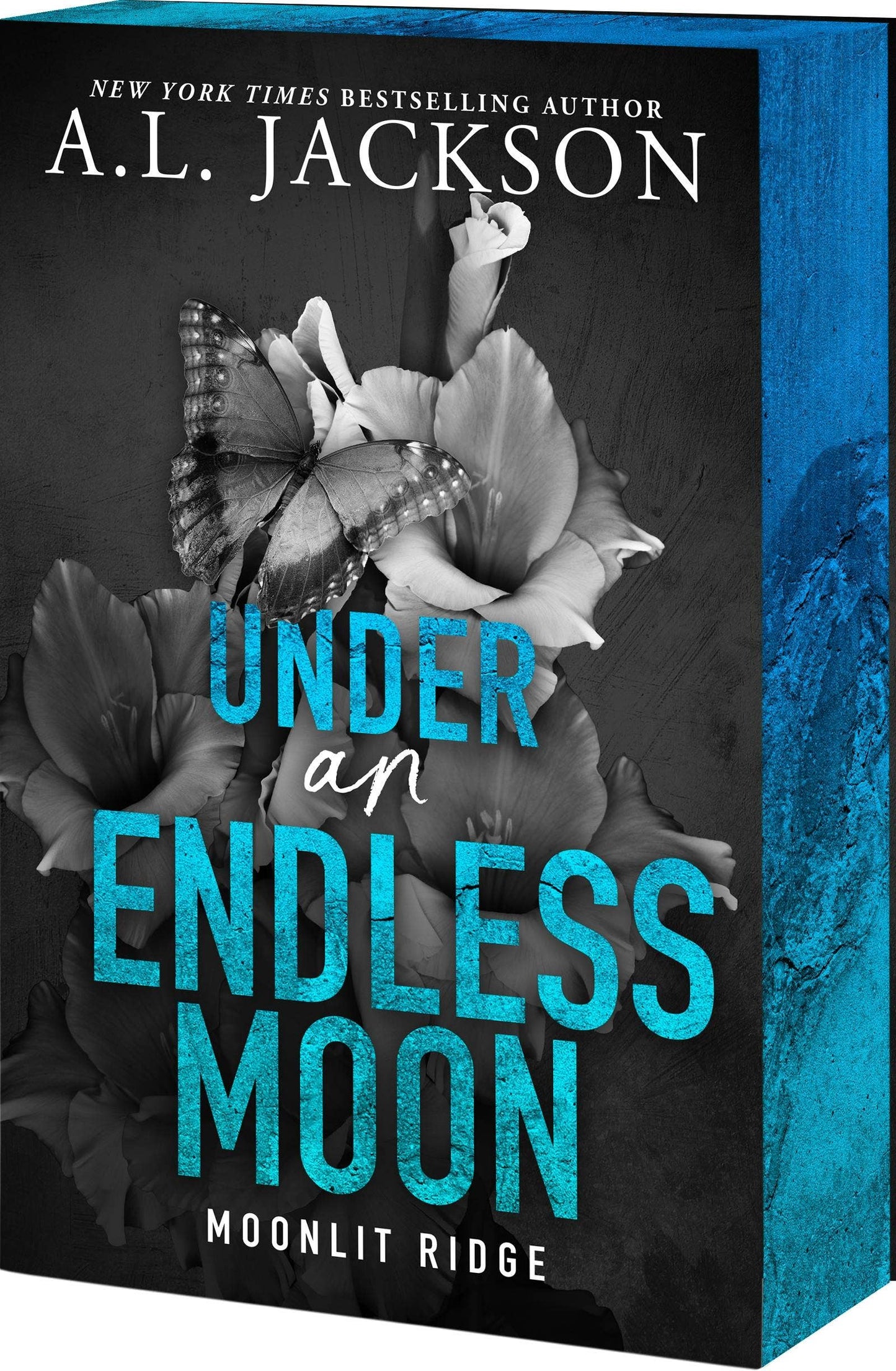 Under An Endless Moon #2